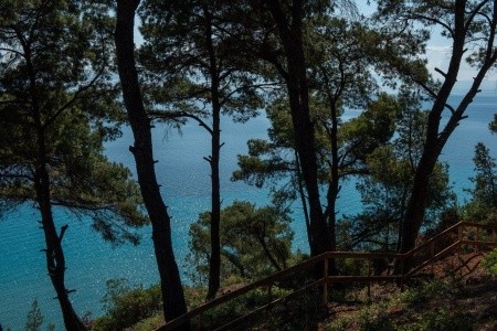 Grécko Chalkidiki Elies 33 Bio Retreat 4 dňový pobyt Raňajky Letecky Letisko: Bratislava September 2026 ( 2/09/26- 5/09/26)