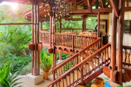 Playa Nicuesa Rainforest Lodge - 2