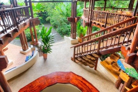 Playa Nicuesa Rainforest Lodge - 3