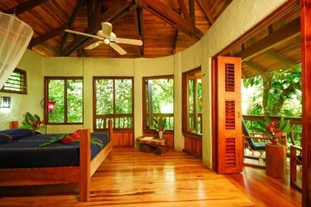 Playa Nicuesa Rainforest Lodge - 6