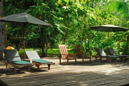 Playa Nicuesa Rainforest Lodge - 10