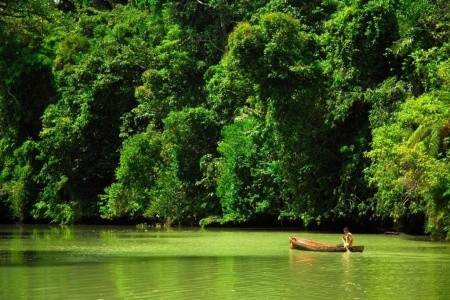 Playa Nicuesa Rainforest Lodge - 12