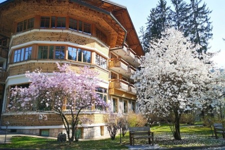 Ribno Alpine Resort - 8