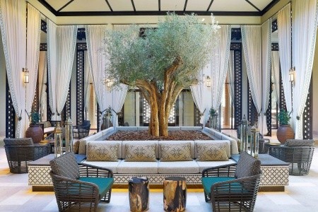 The Ritz Carlton (Al Wadi Desert) - 29