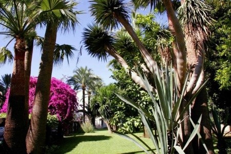 Apartmány Bajondillo - 7