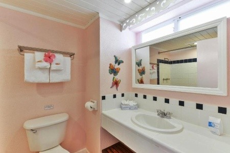 Butterfly Beach - 19