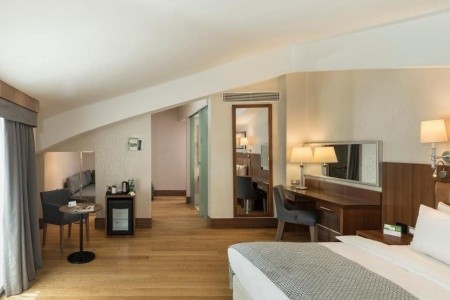 Turecko Istanbul Holiday Inn Istanbul - Old City (Ex.