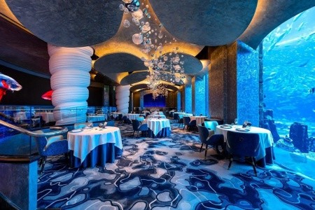 Atlantis The Palm - 19