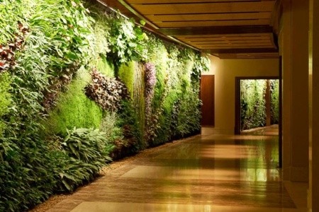 Spojené arabské emiráty Dubaj Sofitel Dubai The Palm Resort & Spa & Luxury Apartments 4 dňový pobyt Polpenzia Letecky Letisko: Praha July 2026 ( 8/07/26-11/07/26)