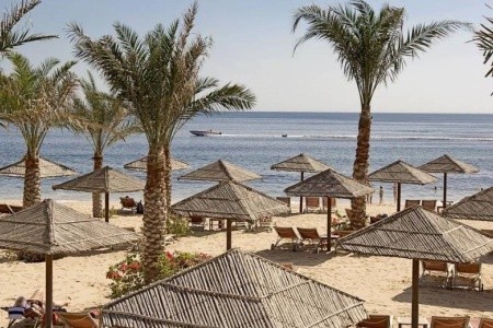 Miramar Al Aqah Beach Resort - 19