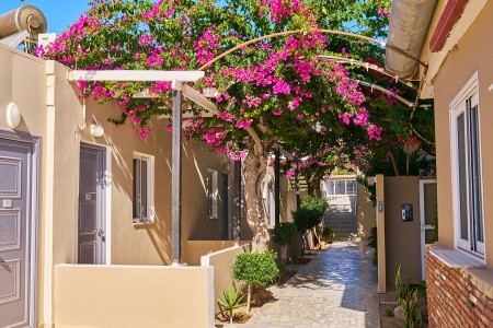 Grécko Kos Sacallis Inn 8 dňový pobyt Bez stravy Letecky Letisko: Praha August 2026 ( 5/08/26-12/08/26)