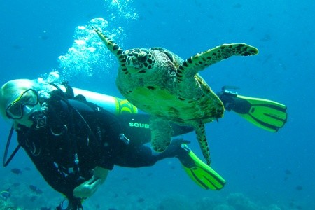 Maldivy  Adaaran Select Meedhupparu 8 dňový pobyt All Inclusive Letecky Letisko: Praha April 2026 (23/04/26-30/04/26)