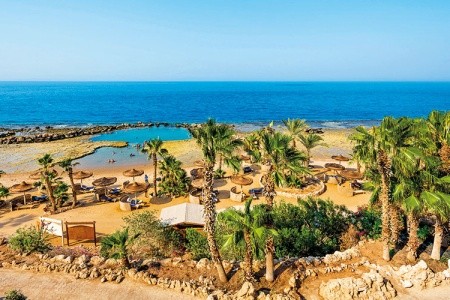 Pickalbatros Citadel Resort - 21