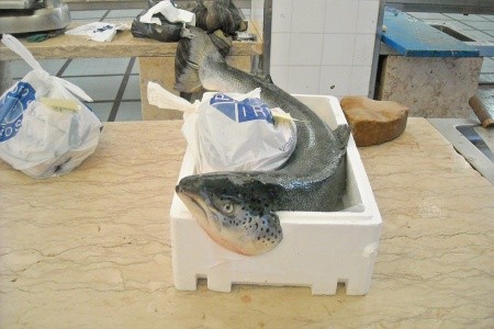 MADEIRA - turistika ostrovem věčného jara (11 dní) - 28