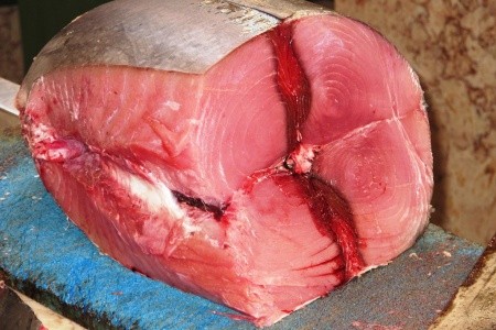 MADEIRA - turistika ostrovem věčného jara (11 dní) - 23