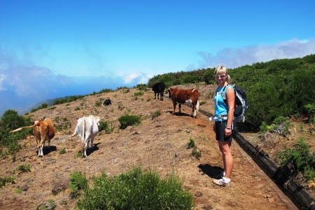 Madeira - poznávání a turistika ostrovem věčného jara (8 dní) - 19