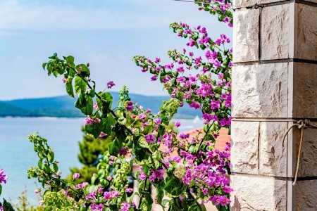 Apartmány 3298-60 - 7