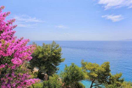 Apartmány 3298-893 - 21