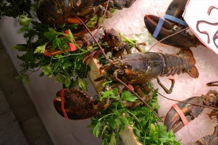 Velikonoce v Barceloně - 17