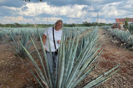 Mexico, okruh po stopách Mayů, pláž, relax a zážitky - 2