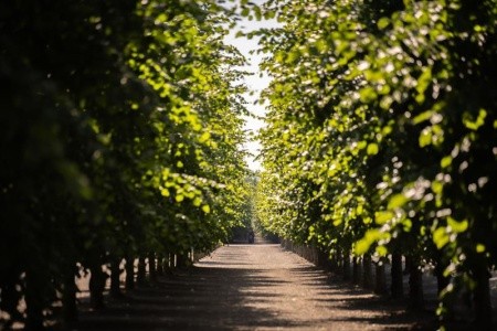 Královský Stockholm a palác Drottingholm - 3