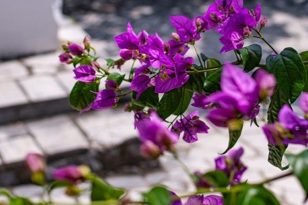 Apartmány 3298-4890 - 27