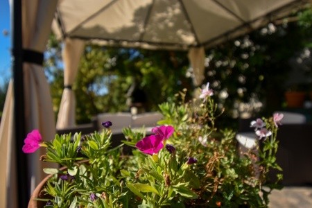 Apartmány 3298-4984