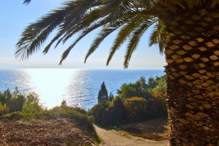 Robinzonáda 3298-3307 - 23