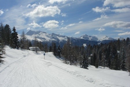 Sole (Bellamonte) - 19