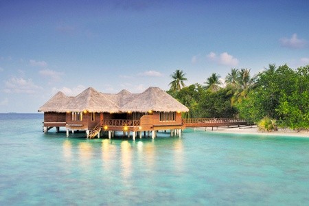 Maldivy Severný Atol Male Bandos Island Resort 7 dňový pobyt Polpenzia Letecky Letisko: Praha February 2026 ( 2/02/26- 8/02/26)