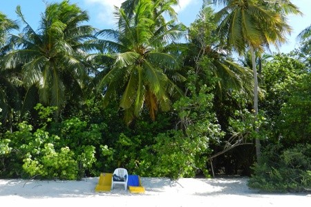 Maldivy Južný Atol Male Embudu Village 11 dňový pobyt Plná penzia Letecky Letisko: Praha December 2025 (15/12/25-25/12/25)