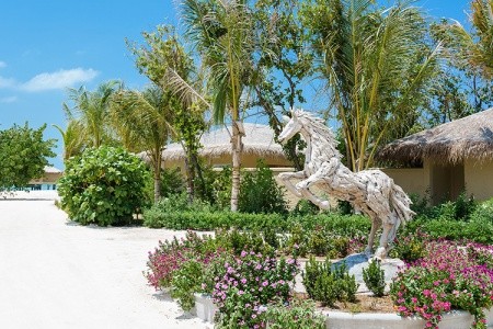 Maldivy  You & Me By Cocoon 10 dňový pobyt All Inclusive Letecky Letisko: Praha August 2026 ( 2/08/26-11/08/26)