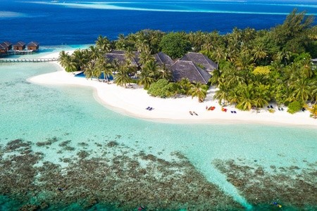 Maldivy Atol Ari Vilamendhoo Island Resort 10 dňový pobyt Plná penzia Letecky Letisko: Praha January 2026 (20/01/26-29/01/26)