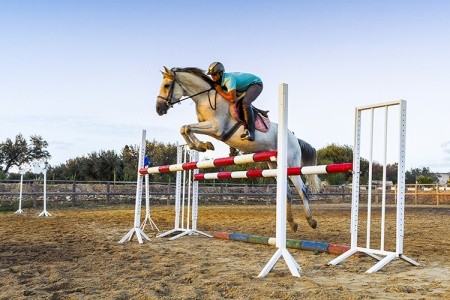 Sentido Phenicia - 7