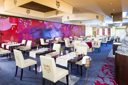 Sentido Phenicia - 17