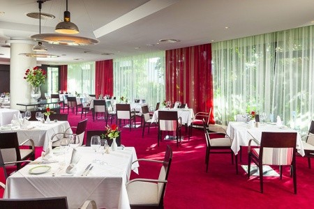 Sentido Phenicia - 18