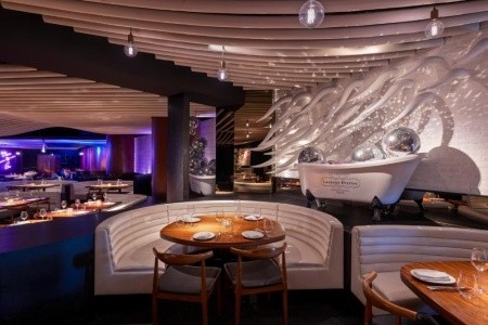 Rixos Premium Dubai - 14