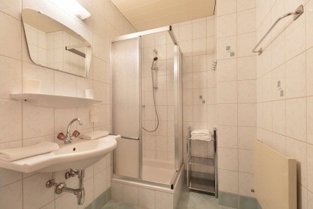 Gasthof Hamberg (Hart Im Zillertal) - 2