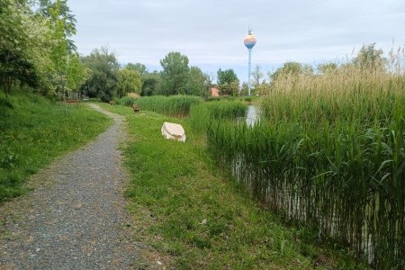 Jufa Vulkan Camping Resort - 14