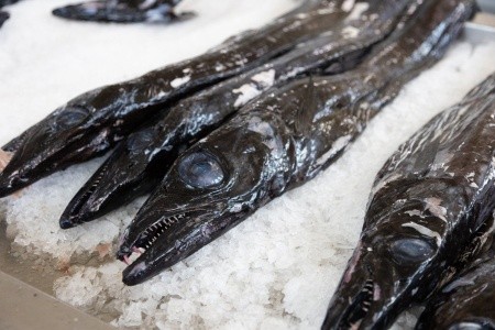 Velký Okruh Madeirou - 12