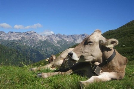 St. Anton am Arlberg - luxusní Alpy - 9