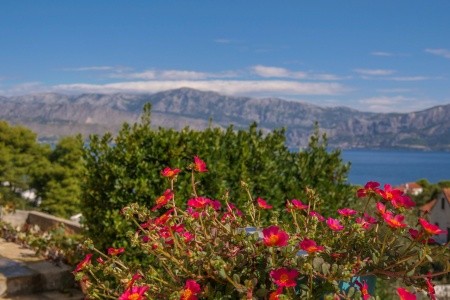 Apartmány 3298-2321 - 6