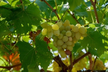 Apartmány 3298-2321 - 7