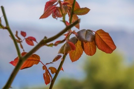 Apartmány 3298-2321 - 8