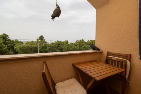 Apartmány 3298-3410 - 17