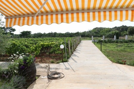 Apartmány 3298-3329 - 24