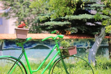 Apartmány 3298-3377 - 7