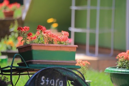 Apartmány 3298-3377 - 24