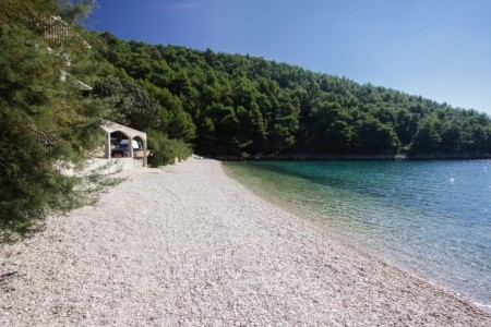 Robinzonáda Ficus - 2