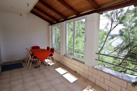 Chorvátsko Hvar Robinzonáda Ficus 8 dňový pobyt Bez stravy Vlastná August 2026 (15/08/26-22/08/26)